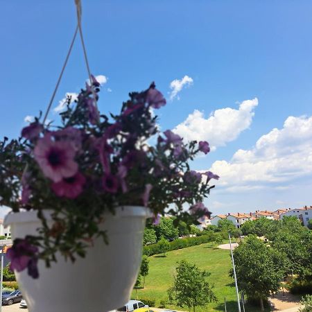 דירות רוביני Battistella'S Near The Sea מראה חיצוני תמונה